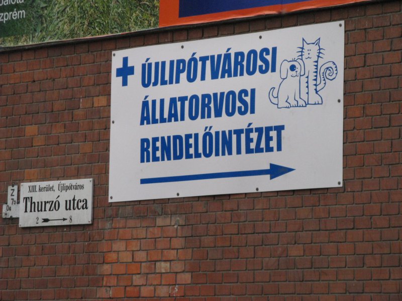 A rendelő bejáratát jelző tábla