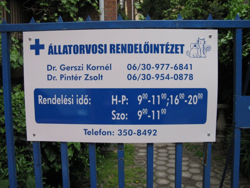A rendelő kertje