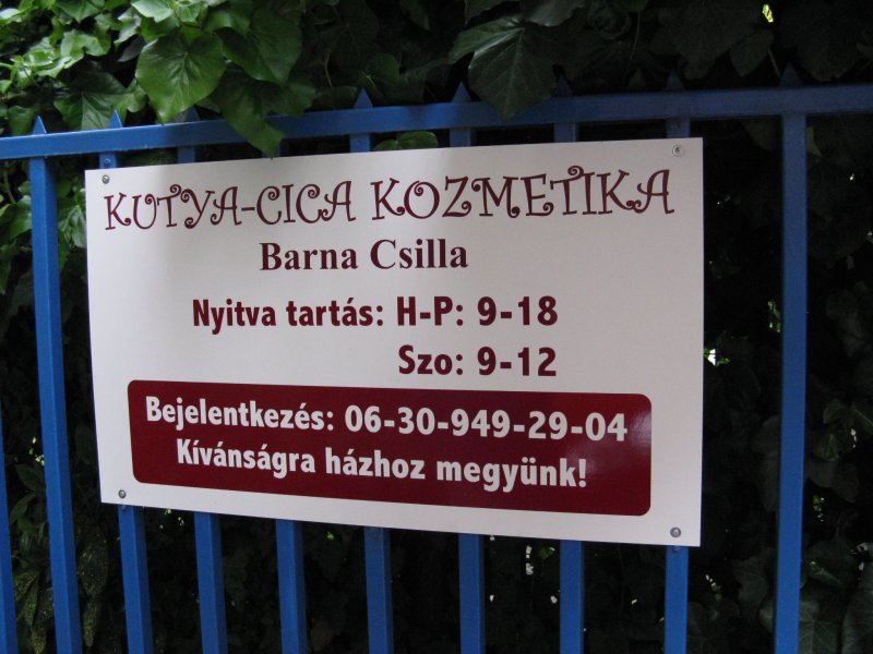 A rendelő környezete
